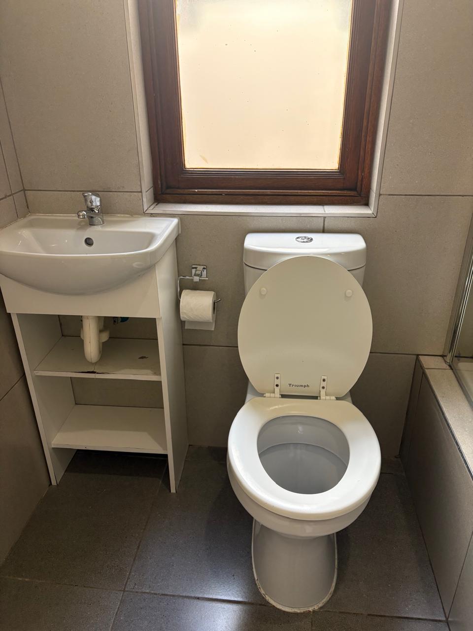 Bathroom after Spark Skoon cleaning